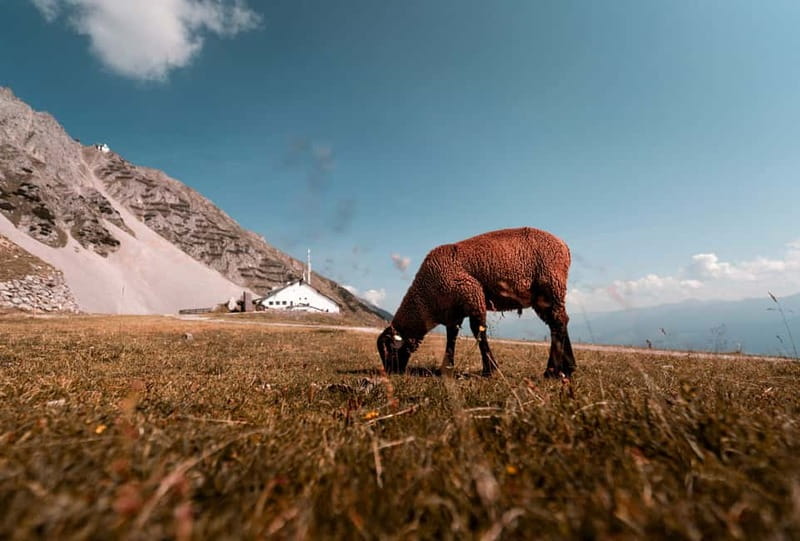 Top of Innsbruck: Roundtrip Cable Car Ticket - Scenic Stops with Unique Attractions