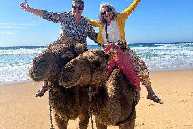 Top VIP Private Tour of Tangier from Estepona All Inclusive - Key Points