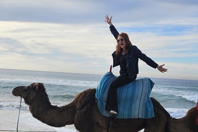 Top VIP Private Tour of Tangier from Estepona All Inclusive - Unique Stops at Hercules Caves and Achakkar Beach