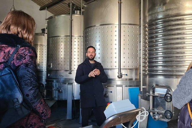 TOP WINE TOUR- Vineyard & cellar visit + 6 top wines + tapas - Comfortable Transport and Well-Organized Experience