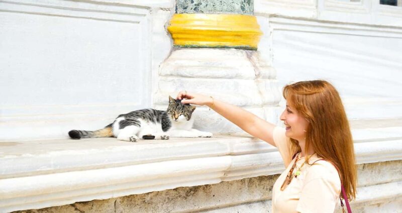 Topkapi Palace & Harem Tour + Bosphorus & Golden Horn Cruise - Logistical Details and Meeting Arrangements