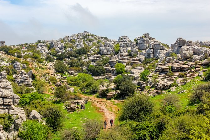 Torcal de Antequera Hiking Tour from Málaga - Wildlife Encounters and Geological Highlights