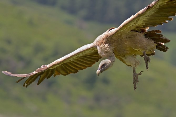 Torcal de Antequera Hiking Tour from Málaga - What Sets This Tour Apart