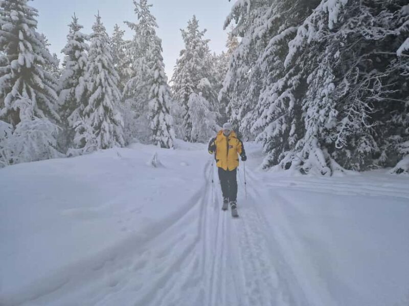 Tornedalen: Ski Touring ski across countries and time - Skiing on the Frozen Tornio River: Crossing Borders in Style