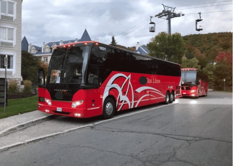 Toronto and Niagara Falls: Full-Day City and Nature Tour - What’s Not Included and How to Plan Ahead