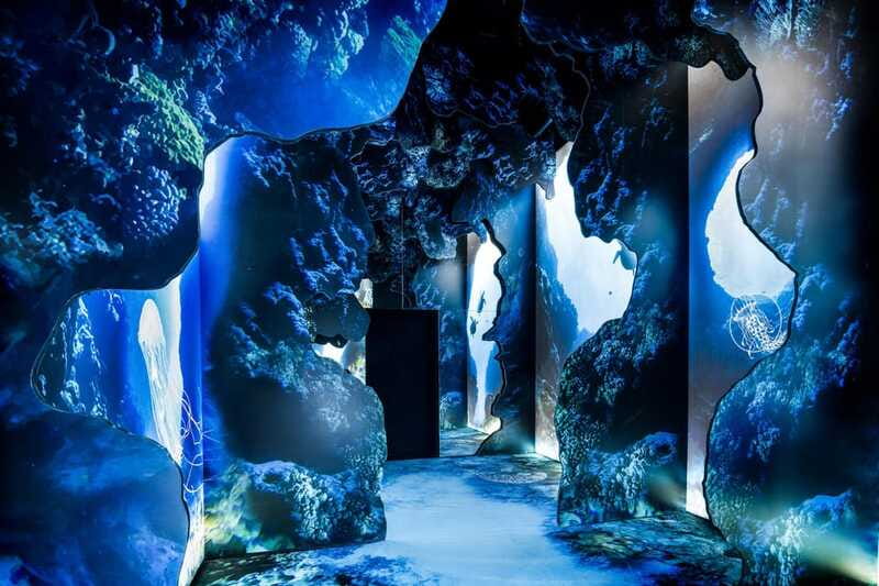 Toronto: Arcadia Earth, Immersive Experience Anytime Ticket - The Sum Up: An Environmentally Themed Visual Journey in Toronto