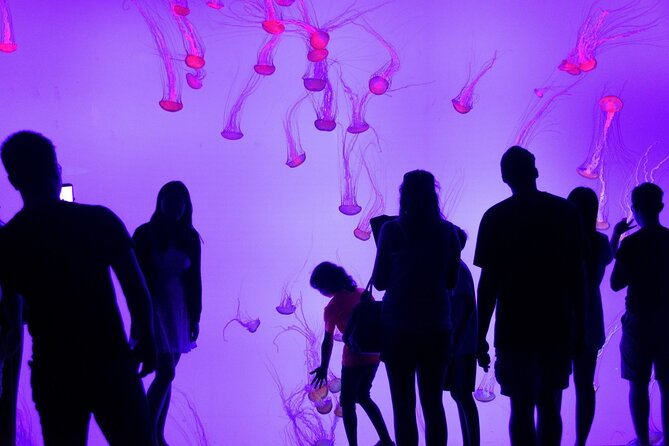 Toronto City Highlights Express Tour - Exploring Toronto’s Entertainment and Cultural Districts