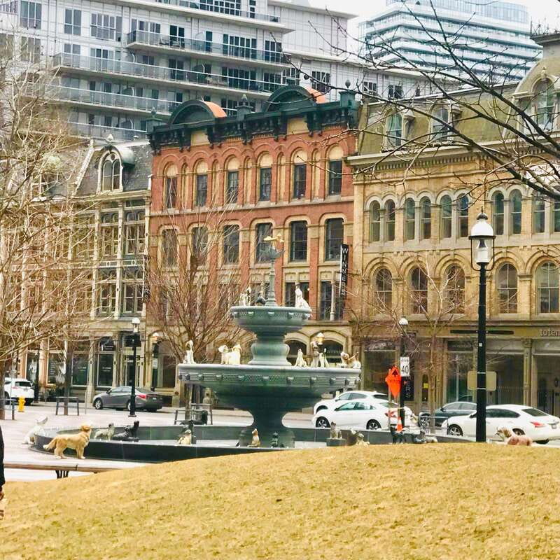 Toronto: City Walking Tour - Highlighting BCE Place and Modern Architecture