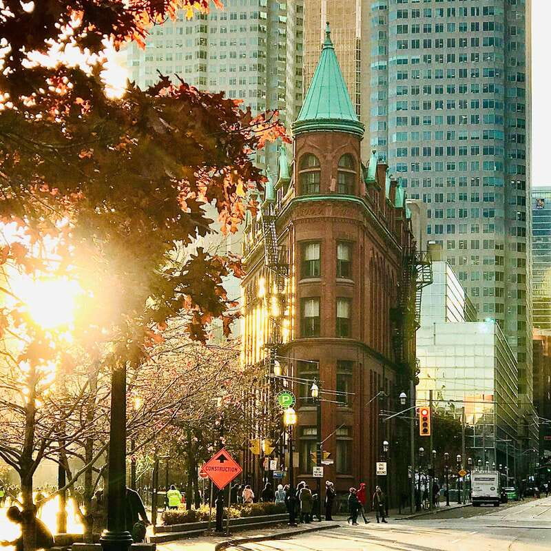 Toronto: City Walking Tour - Practical Details and Accessibility