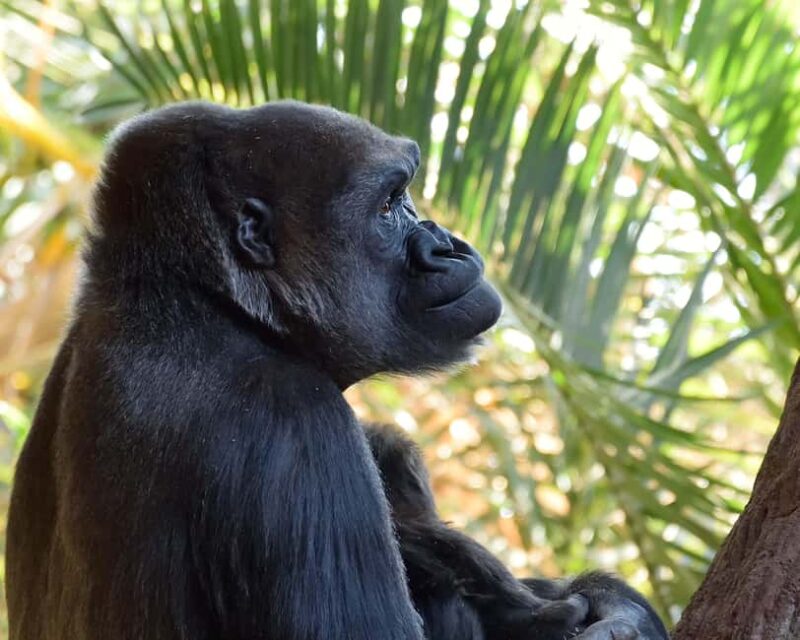 Toronto CityPASS®: Save up to 38% at 5 Top Attractions - Seasonal City Cruises Toronto Harbour Tour