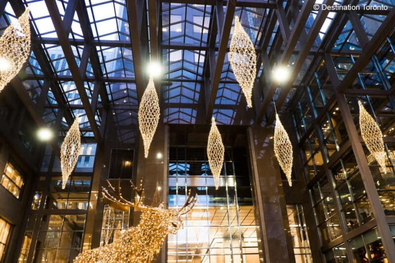 Toronto: Festive Lights Bus Tour - Weather Considerations and Alternative Bus Options