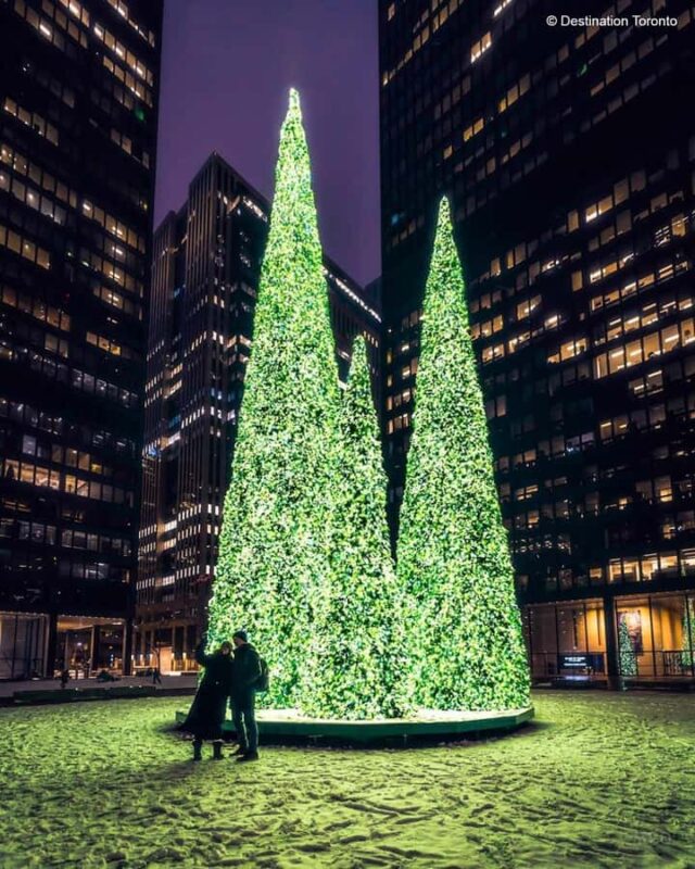 Toronto: Guided City Sightseeing Festive Lights Bus Tour - The Charm of Nathan Phillips Square and the Cavalcade of Lights