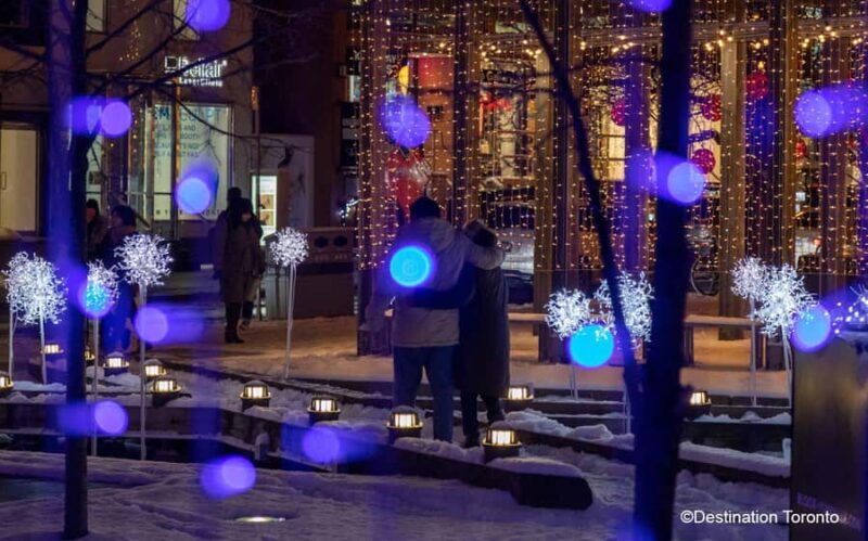Toronto: Guided City Sightseeing Festive Lights Bus Tour - Exploring the Distillery District’s Winter Wonderland