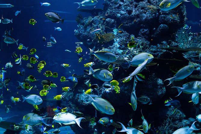 Toronto & Niagara Falls 2 Days Tour - Exploring Niagara Falls from the Observation Tower