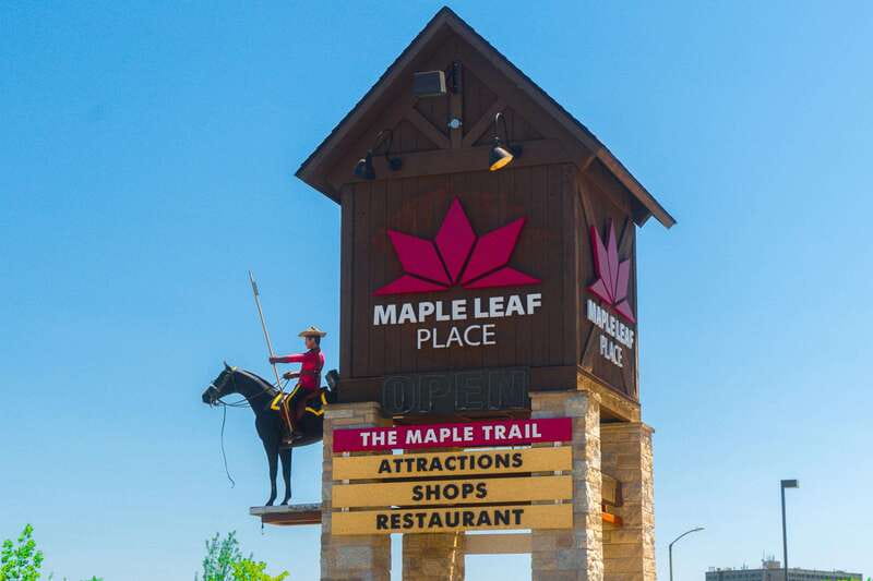 Toronto: Niagara Falls Day Tour with Optional Boat Cruise - Practical Details and Accessibility