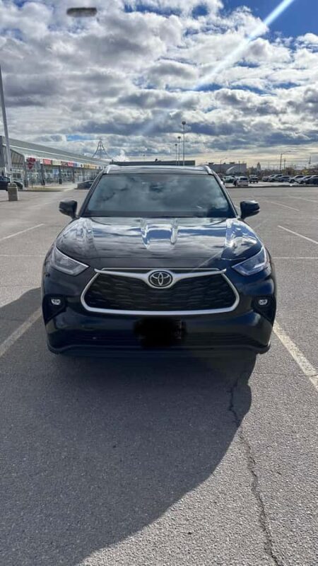 Toronto: Niagara Falls Day Trip with Driver - Practical Logistics and Ease of Travel