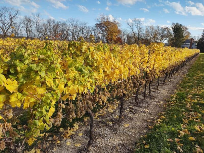 Toronto: Niagara Falls Private Custom Tour - Flexibility and Customization Make This Tour Unique