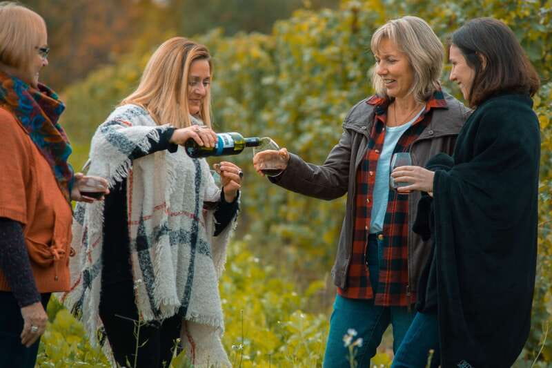 Toronto: Niagara Wineries Tasting Tour & Optional Lunch - Discover the Niagara Wineries Tasting Tour & Optional Lunch from Toronto