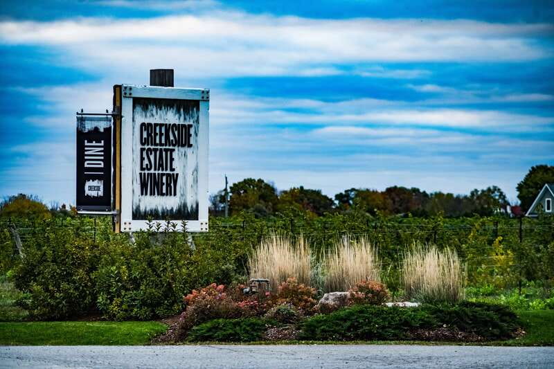 Toronto: Niagara Wineries Tasting Tour & Optional Lunch - The Guide and Transportation Experience