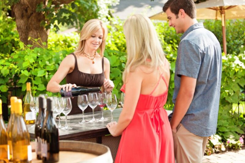 Toronto: Niagara Wineries Tasting Tour & Optional Lunch - Pacing and Timing Considerations