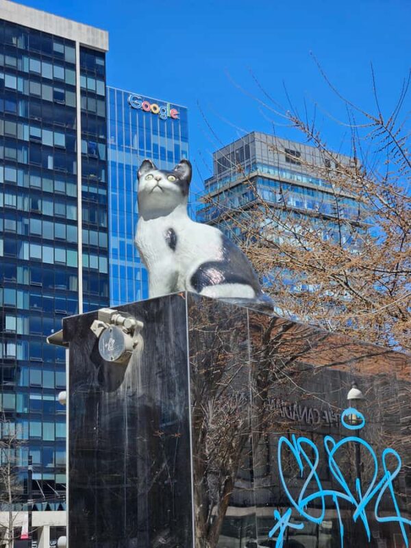 Toronto: Private Walking Tour of City Highlights - Explore Toronto’s Landmarks and Unique Neighborhoods in a Personalized Private Tour