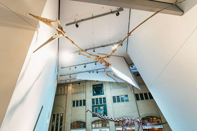 Toronto: Royal Ontario Museum Admission Ticket - Discover the Royal Ontario Museum in Toronto for Just $19