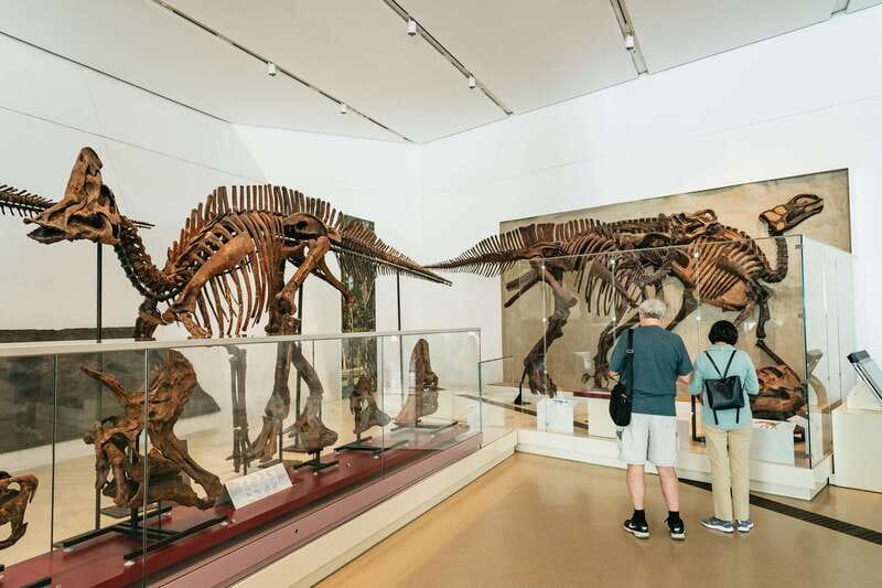 Toronto: Royal Ontario Museum Admission Ticket - What Exhibits Make the ROM Stand Out?