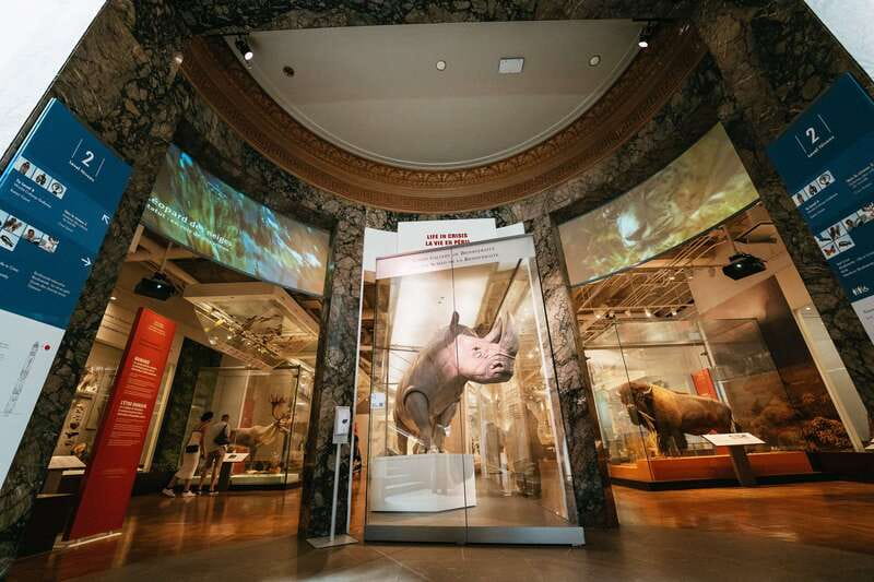 Toronto: Royal Ontario Museum Admission Ticket - Guided Tours and Highlights on the Hour