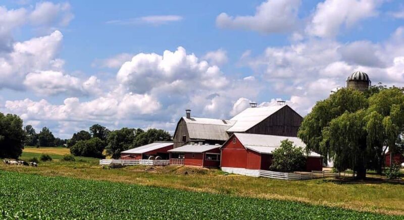 Toronto: St. Jacobs Market and Mennonite Country Tour - Explore Ontarios Largest Year-Round Market and Mennonite Heritage in a Day