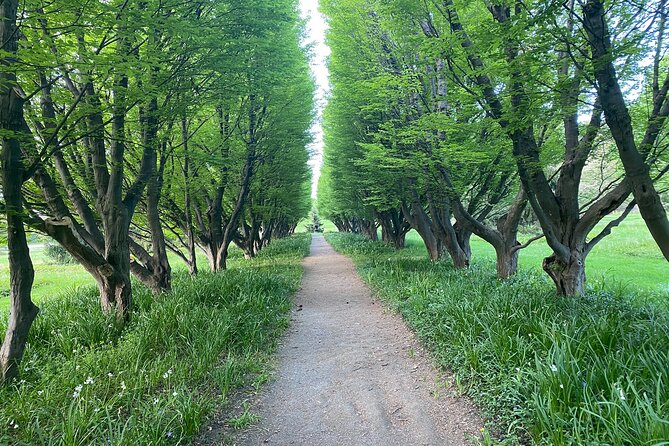 Toronto to Niagara Day Tour - White Water Walk and the Whirlpool Aero Car