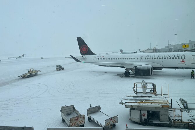 Toronto to Niagara Day Tour - Value and Cancellation Policy