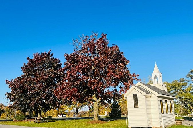 Toronto to Niagara Private Tour in Limousine - Key Points