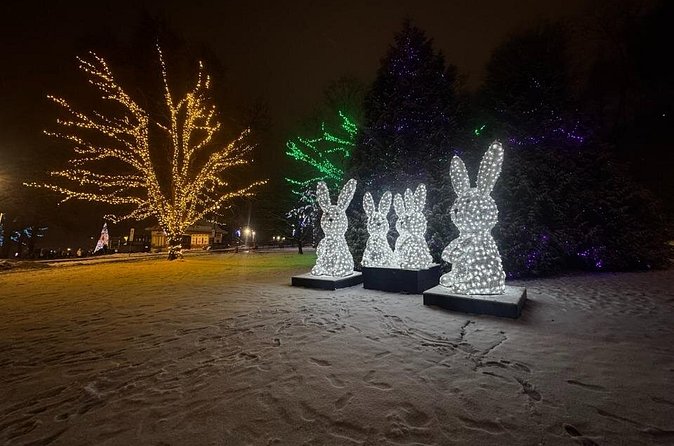 Toronto to Niagara Private Tour in Limousine - Visiting the Whirlpool Aero Car and Floral Clock