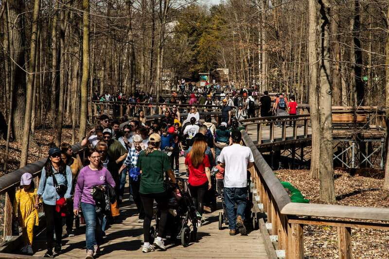 Toronto: Toronto Zoo Entry Ticket - Explore the Toronto Zoos Unique International Regions