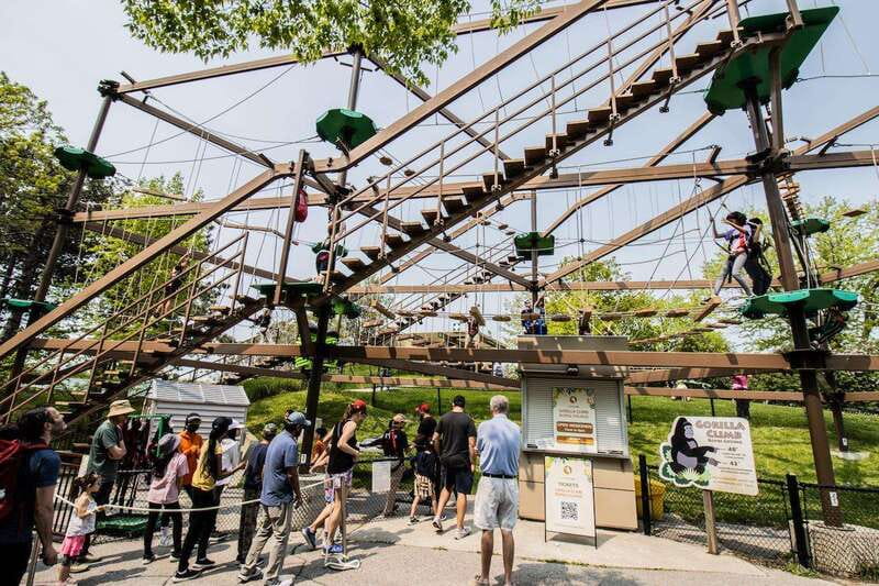 Toronto: Toronto Zoo Entry Ticket - Navigating the Zoo’s Layout and Attractions