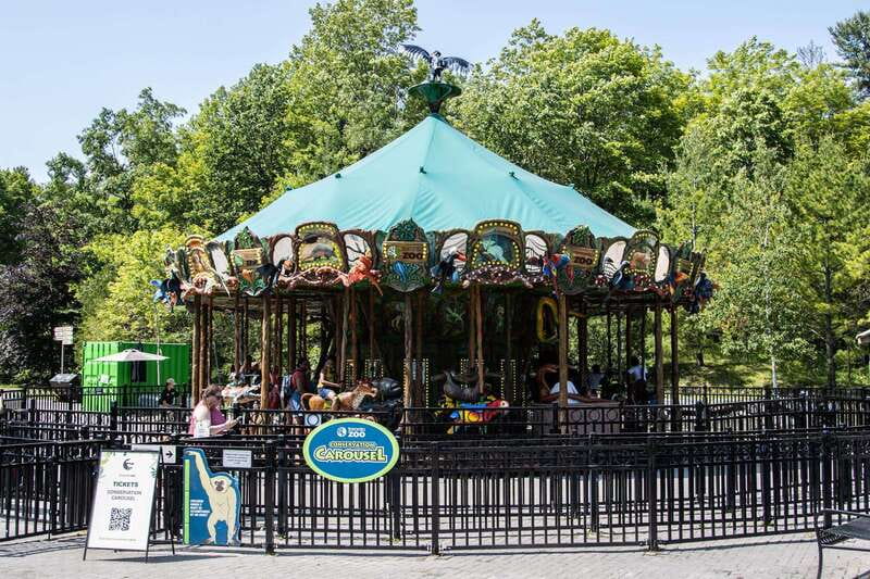 Toronto: Toronto Zoo Entry Ticket - The Experience During Adverse Weather