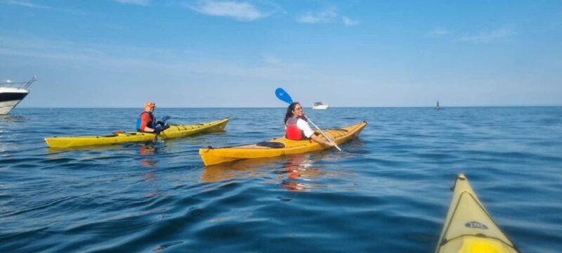 Torquay: 90-Minute Sea Kayak Taster Tour - Key Points