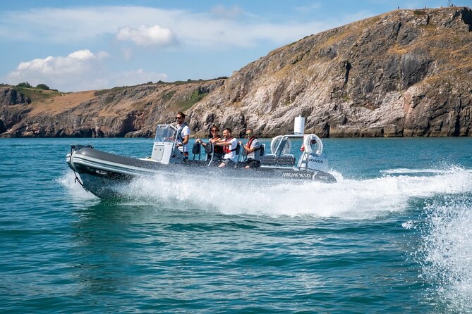 Torquay Coastal RIB Seafari - The Speed and Thrill of the RIB