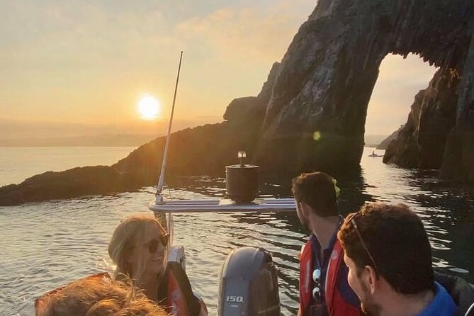 Torquay Coastal RIB Seafari - Why This Tour Appeals to Wildlife and Scenic Lovers