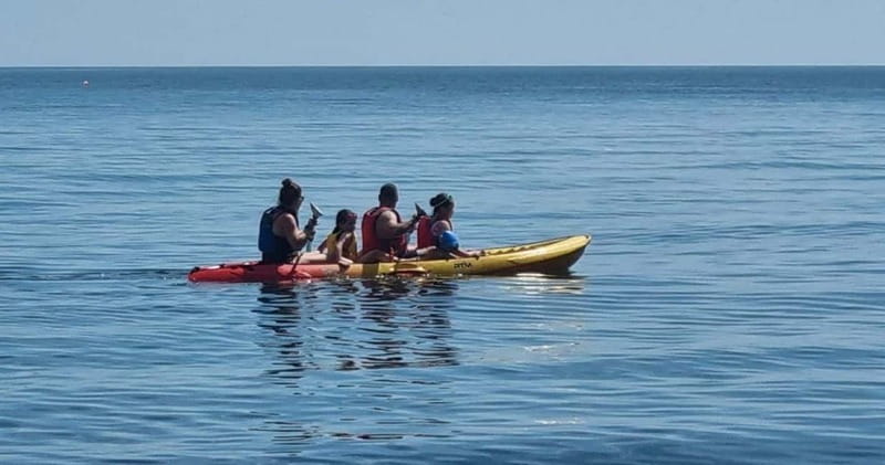 Torquay: Kayak Rental with Sit-on-Top and Sit-in Kayaks - Perfect for Families and Small Groups