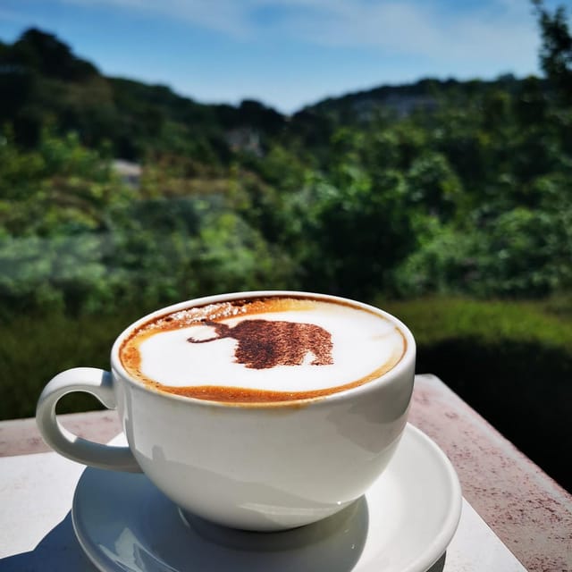Torquay: Kents Cavern Prehistoric Cave - The Entrance and First Impressions at Kents Cavern