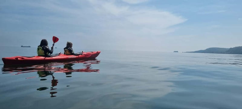 Torquay: Wildlife, Bushcraft and Sea Cave Kayak Safari - Experience the Unique Sea Kayaking Adventure Near Torquay