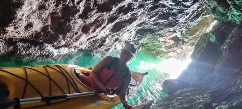 Torquay: Wildlife, Bushcraft and Sea Cave Kayak Safari - Spotting Seals and Resident Cetaceans from Your Kayak
