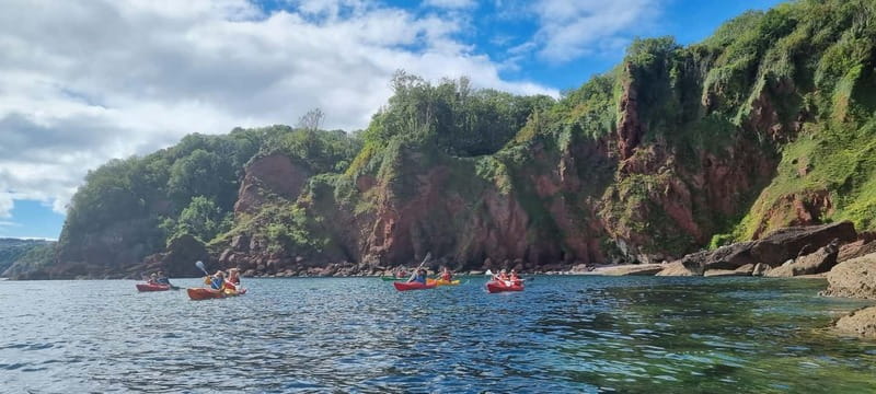 Torquay: Wildlife, Bushcraft and Sea Cave Kayak Safari - Fossil Hunting and Foraged Marine Herb Tasting on a Secluded Beach