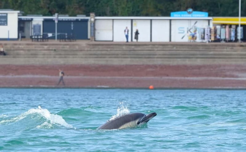 Torquay: Wildlife, Bushcraft and Sea Cave Kayak Safari - Practical Details: Meeting Point, Group Size, and Equipment
