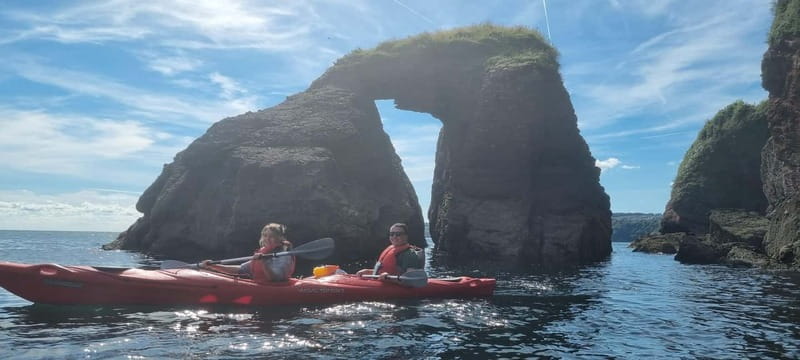 Torquay: Wildlife, Bushcraft and Sea Cave Kayak Safari - The Guide and Their Knowledge