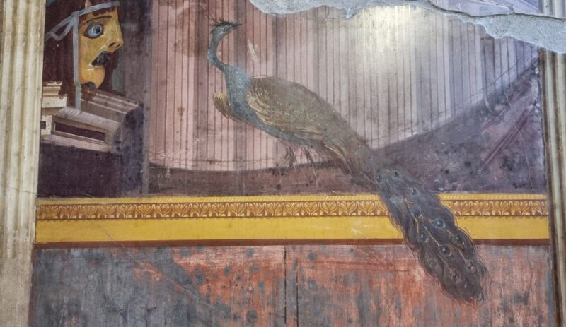 Torre Annunziata: Villa Poppea Smartphone Audio Guide - Key Points