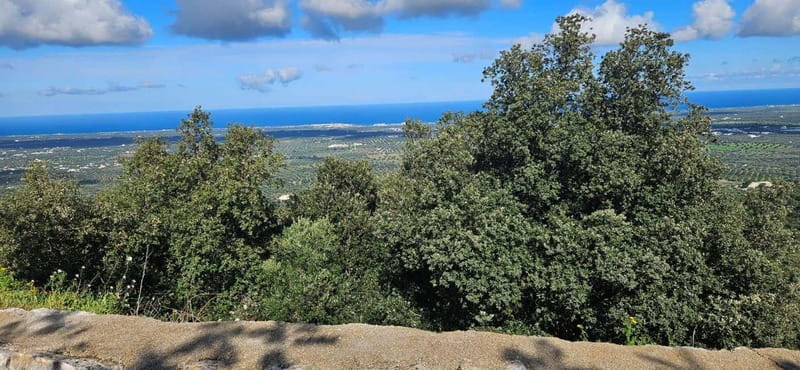 Torre Canne: E-Bike Tour in Coastal Dune Park & Sea Views - Exploring the Scenic Coastal Trails of Torre Canne