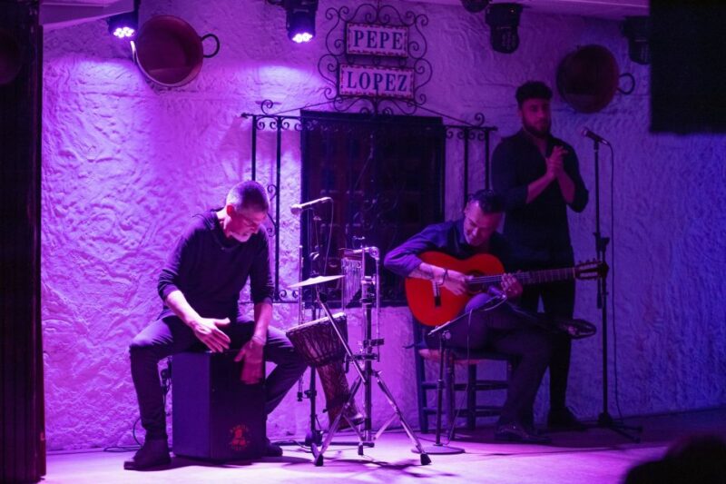 Torremolinos: Flamenco Show with Drinks - The Passionate Performers of Flamenco