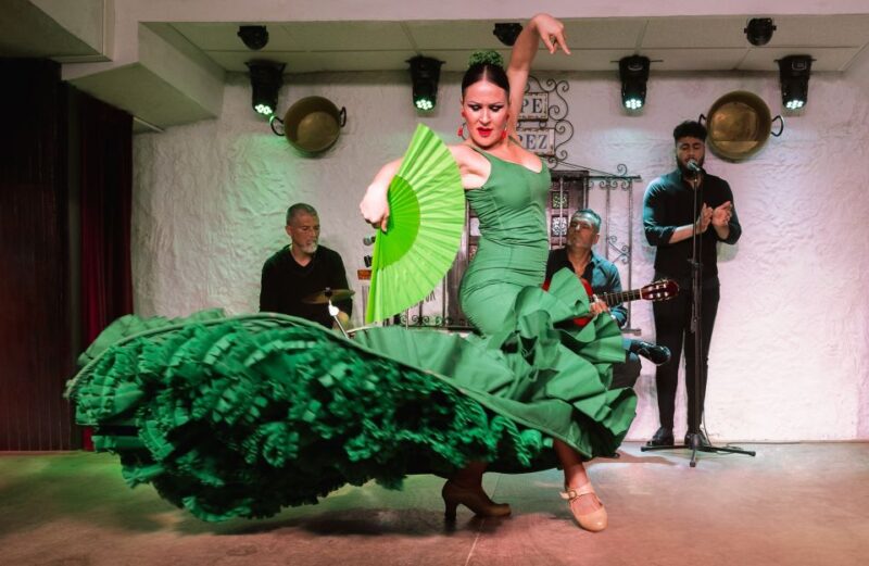 Torremolinos: Flamenco Show with Drinks - Notable Praise for the Performers